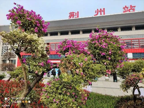 邢臺到荊州物流專線-邢臺物流到荊州