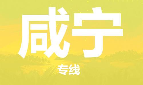 石家莊到咸寧物流公司-大件運輸專線「高效運輸」