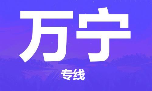 邯鄲到萬(wàn)寧物流公司-邯鄲至萬(wàn)寧貨運(yùn)客戶至上定制服務(wù)|可靠、經(jīng)濟(jì)實(shí)惠