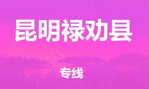 邯鄲到昆明祿勸縣物流專線-物流專線快速直達-快速準時